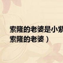 索隆的老婆是小紫吗（索隆的老婆）
