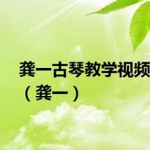 龚一古琴教学视频50集（龚一）