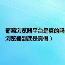 葡萄浏览器平台是真的吗（葡萄浏览器到底是真假）