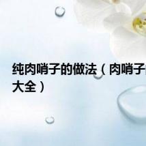 纯肉哨子的做法（肉哨子的做法大全）
