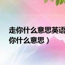 走你什么意思英语（走你什么意思）