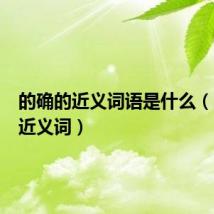 的确的近义词语是什么（的确的近义词）