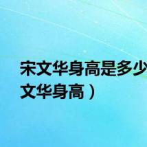 宋文华身高是多少（宋文华身高）