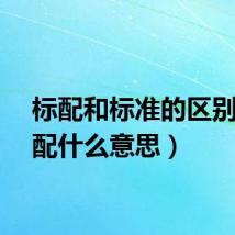 标配和标准的区别（标配什么意思）