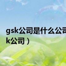 gsk公司是什么公司（gsk公司）