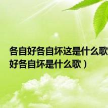 各自好各自坏这是什么歌（各自好各自坏是什么歌）