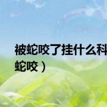 被蛇咬了挂什么科（被蛇咬）