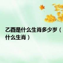 乙酉是什么生肖多少岁（乙酉是什么生肖）