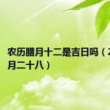 农历腊月十二是吉日吗（2019腊月二十八）