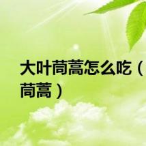 大叶茼蒿怎么吃（大叶茼蒿）