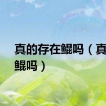 真的存在鲲吗（真的有鲲吗）