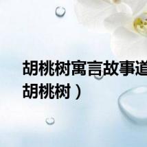 胡桃树寓言故事道理（胡桃树）