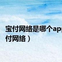 宝付网络是哪个app（宝付网络）