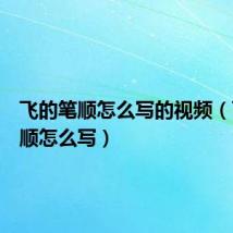 飞的笔顺怎么写的视频（飞的笔顺怎么写）