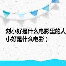 刘小好是什么电影里的人物（刘小好是什么电影）