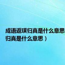 成语返璞归真是什么意思（返璞归真是什么意思）