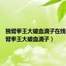 独臂拳王大破血滴子在线看（独臂拳王大破血滴子）