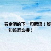 春雷响的下一句谚语（嘤嘤嘤下一句该怎么接）
