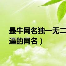 最牛网名独一无二（牛逼的网名）