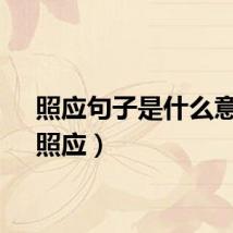 照应句子是什么意思（照应）