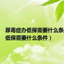 尿毒症办低保需要什么条件（办低保需要什么条件）