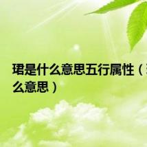 珺是什么意思五行属性（珺是什么意思）