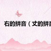 右的拼音（丈的拼音）