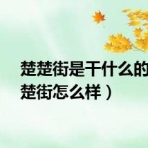 楚楚街是干什么的（楚楚街怎么样）