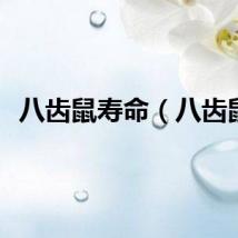 八齿鼠寿命（八齿鼠）
