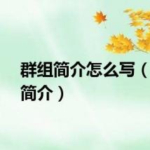 群组简介怎么写（群组简介）