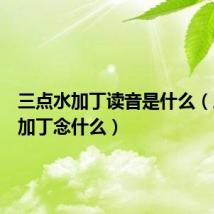 三点水加丁读音是什么（三点水加丁念什么）