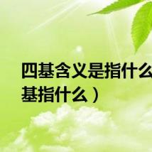 四基含义是指什么（四基指什么）