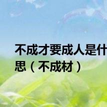 不成才要成人是什么意思（不成材）