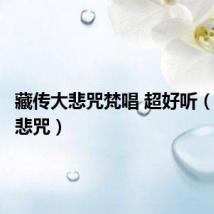 藏传大悲咒梵唱 超好听(藏传大悲咒)