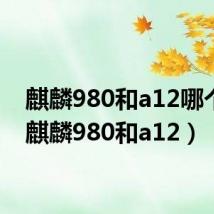 麒麟980和a12哪个强（麒麟980和a12）