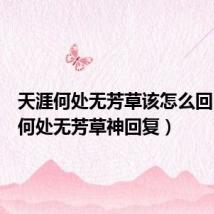 天涯何处无芳草该怎么回(天涯何处无芳草神回复)