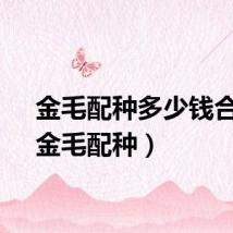金毛配种多少钱合适（金毛配种）