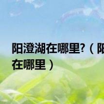 阳澄湖在哪里?（阳澄湖在哪里）