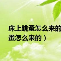 床上跳蚤怎么来的（跳蚤怎么来的）