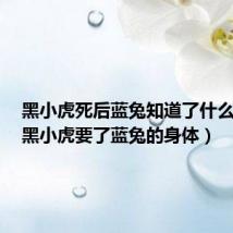 黑小虎死后蓝兔知道了什么反应(黑小虎要了蓝兔的身体)