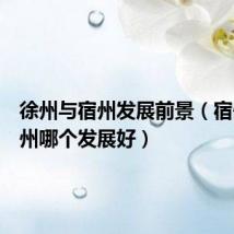 徐州与宿州发展前景（宿州和徐州哪个发展好）