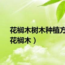 花榈木树木种植方法（花榈木）