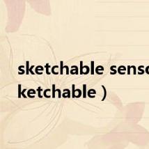 sketchable sensor（sketchable）