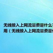 无线接入上网流量费是什么?本地使用（无线接入上网流量费是什么）