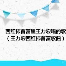 西红柿首富里王力宏唱的歌是什么（王力宏西红柿首富歌曲）