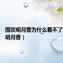 围攻明月香为什么看不了（围攻明月香）