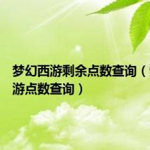 梦幻西游剩余点数查询（梦幻西游点数查询）