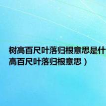 树高百尺叶落归根意思是什么（树高百尺叶落归根意思）
