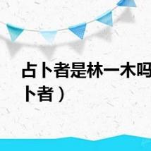 占卜者是林一木吗（占卜者）