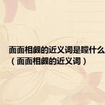 面面相觑的近义词是瞠什么结什么（面面相觑的近义词）